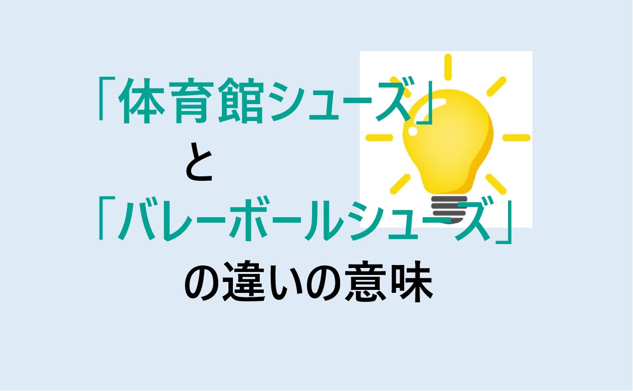 体育館シューズとバレーボールシューズの違いの意味を分かりやすく解説！