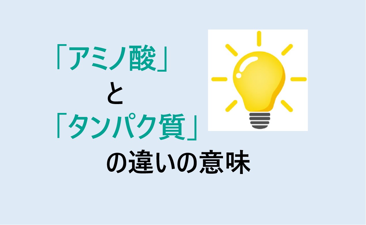 アミノ酸とタンパク質の違い