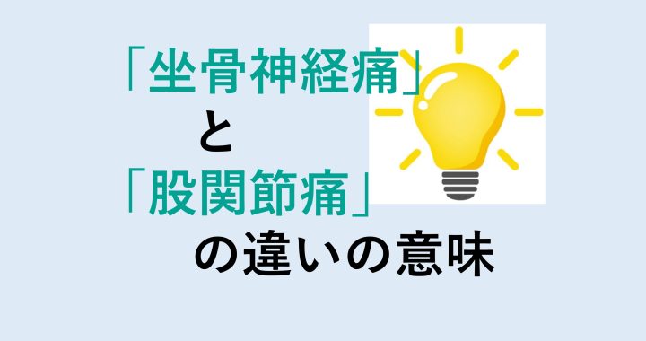 坐骨神経痛と股関節痛の違いの意味を分かりやすく解説！