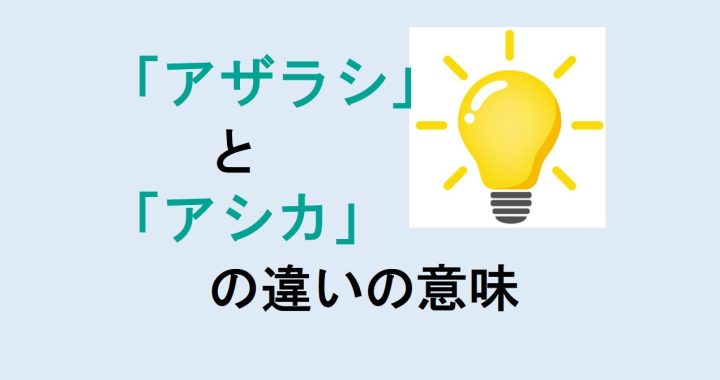 アザラシとアシカの違いの意味を分かりやすく解説！