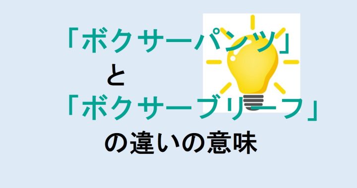 ボクサーパンツとボクサーブリーフの違いの意味を分かりやすく解説！