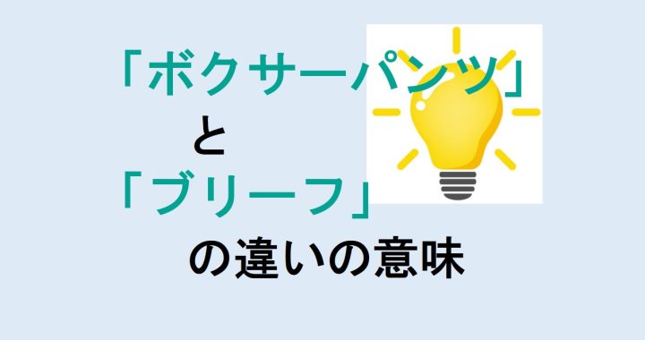 ボクサーパンツとブリーフの違いの意味を分かりやすく解説！