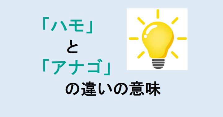 ハモとアナゴの違いの意味を分かりやすく解説！