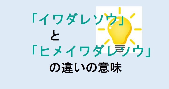 イワダレソウとヒメイワダレソウの違いの意味を分かりやすく解説！