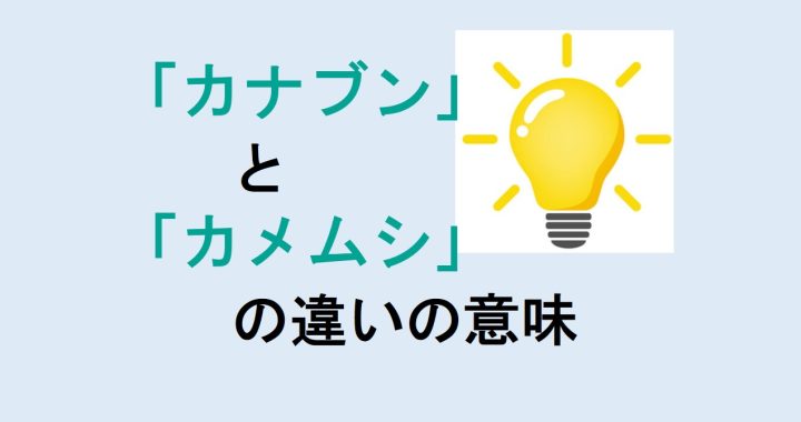 カナブンとカメムシの違いの意味を分かりやすく解説！