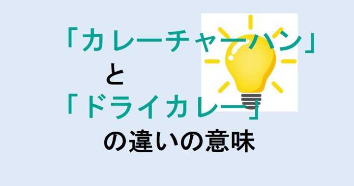 カレーチャーハンとドライカレーの違いの意味を分かりやすく解説！