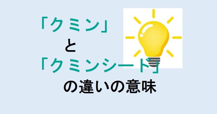 クミンとクミンシードの違いの意味を分かりやすく解説！