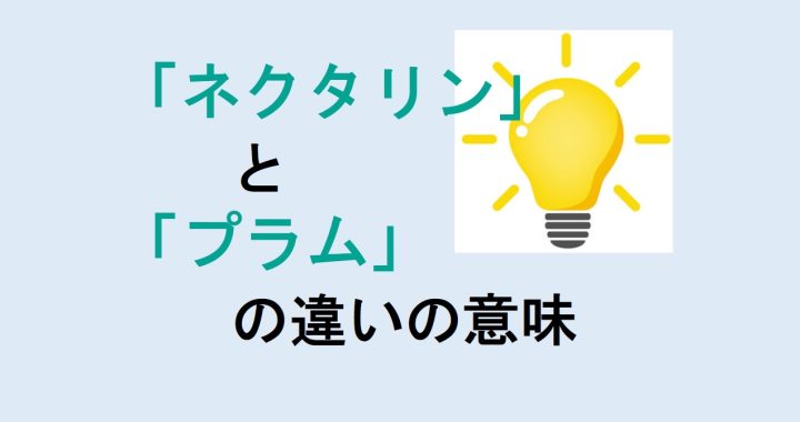 ネクタリンとプラムの違いの意味を分かりやすく解説！