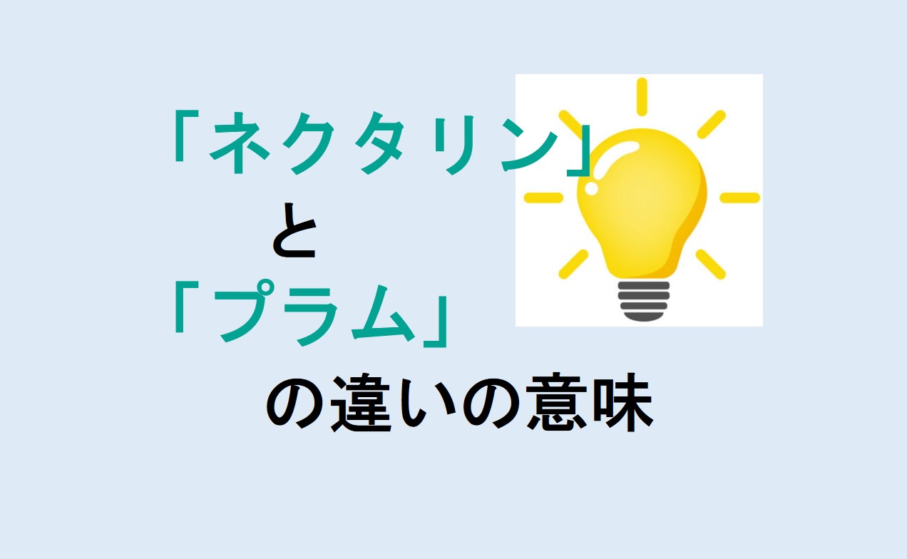 ネクタリンとプラムの違い