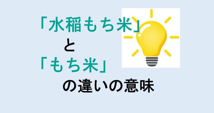 水稲もち米ともち米の違いの意味を分かりやすく解説！