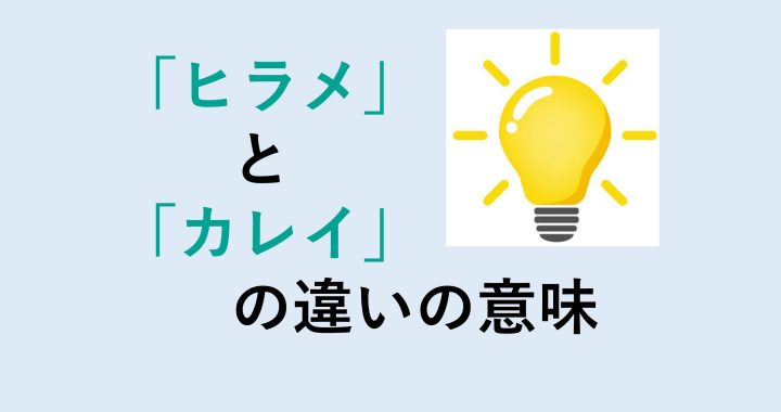 ヒラメとカレイの味の違いの意味を分かりやすく解説！