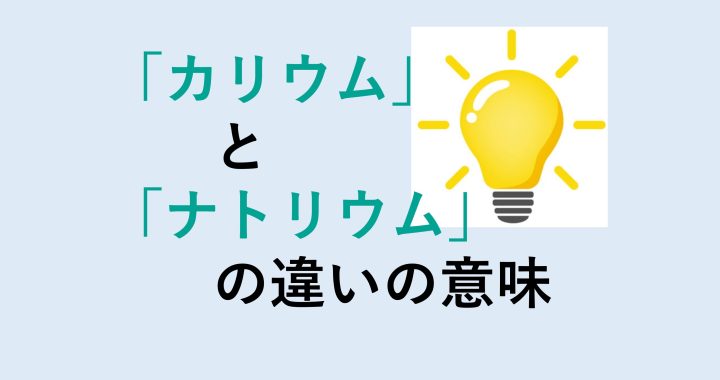 カリウムとナトリウムの違いの意味を分かりやすく解説！