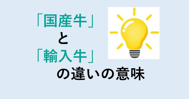 国産牛と輸入牛の違いの意味を分かりやすく解説！