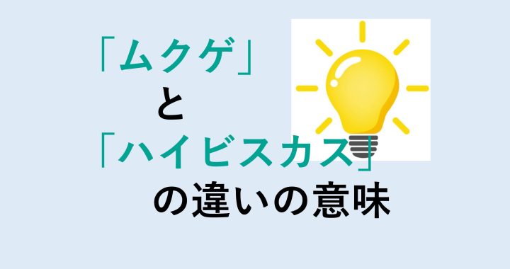 ムクゲとハイビスカスの違いの意味を分かりやすく解説！