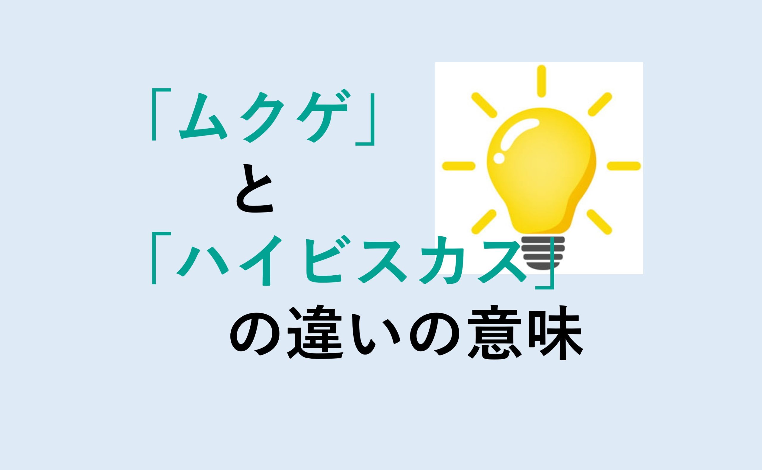 ムクゲとハイビスカスの違い