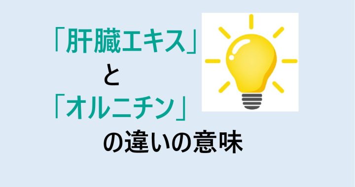 肝臓エキスとオルニチンの違いの意味を分かりやすく解説！