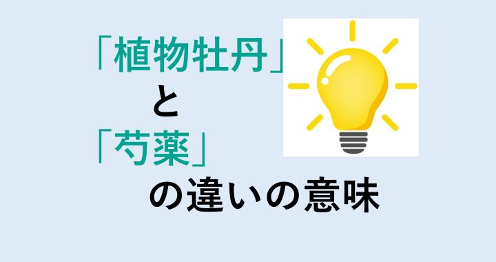 植物牡丹と芍薬の違いの意味を分かりやすく解説！