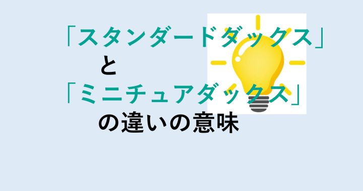 スタンダードダックスとミニチュアダックスの違いの意味を分かりやすく解説！