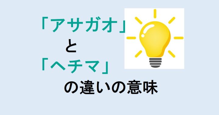 アサガオとヘチマの違いの意味を分かりやすく解説！