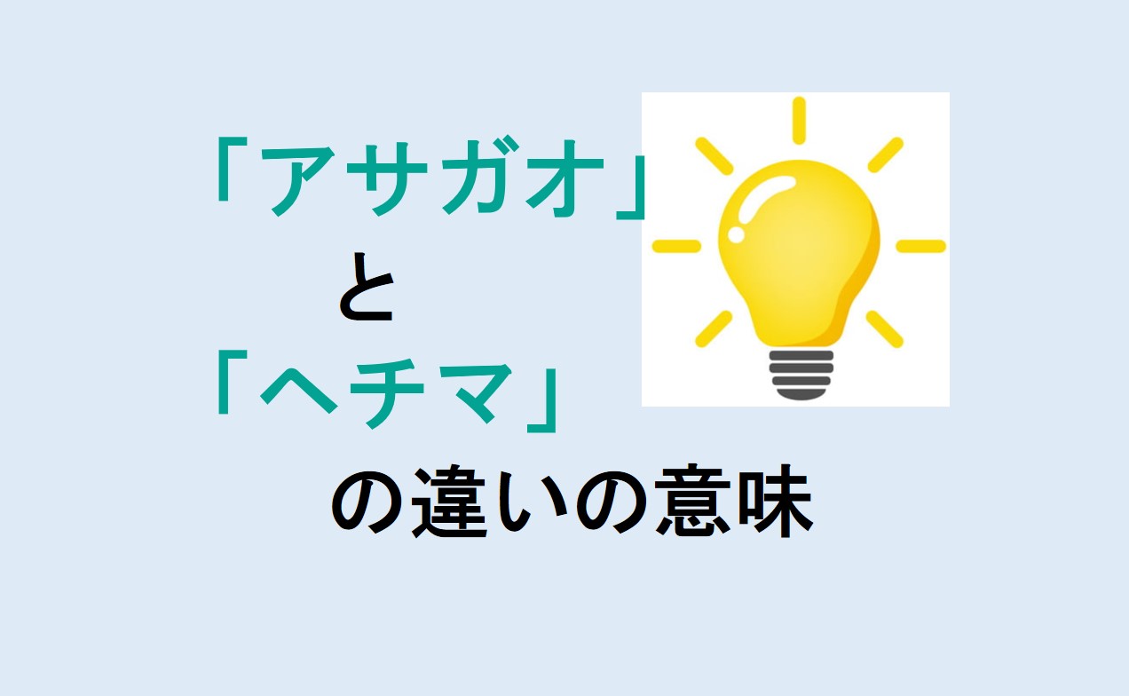 アサガオとヘチマの違い