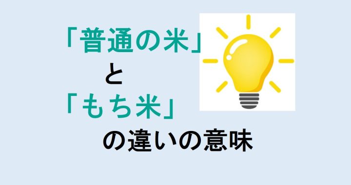 普通の米ともち米の違いの意味を分かりやすく解説！