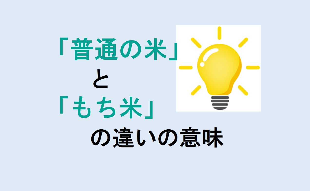 普通の米ともち米の違い