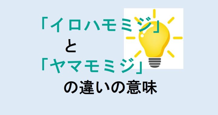 イロハモミジとヤマモミジの違いの意味を分かりやすく解説！