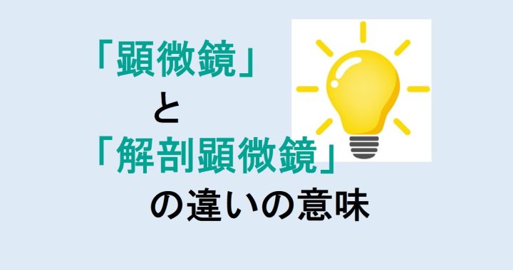 顕微鏡と解剖顕微鏡の違いの意味を分かりやすく解説！