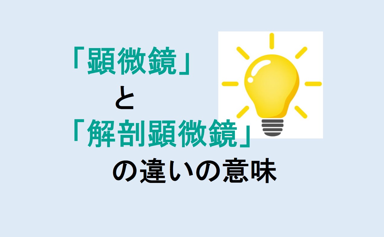 顕微鏡と解剖顕微鏡の違い