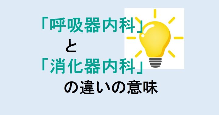 呼吸器内科と消化器内科の違いの意味を分かりやすく解説！