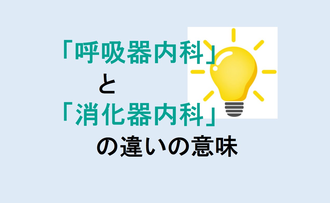 呼吸器内科と消化器内科の違い