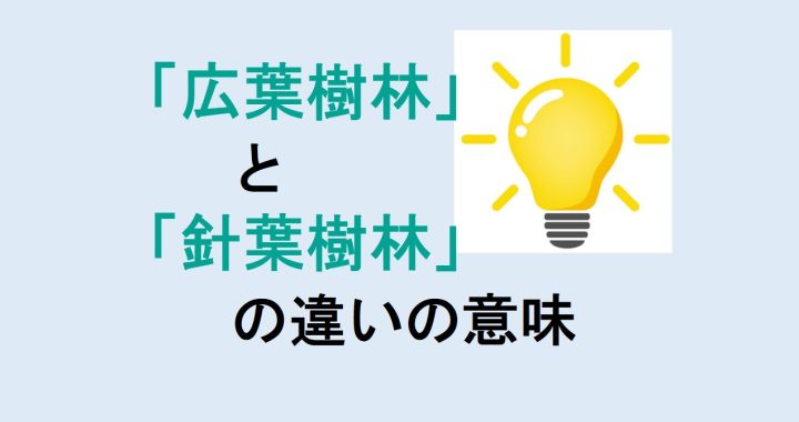 広葉樹林と針葉樹林の違いの意味を分かりやすく解説！