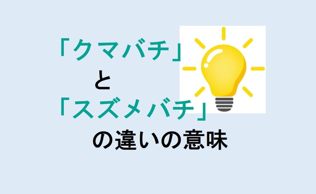 クマバチとスズメバチの違い