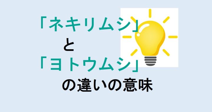 ネキリムシとヨトウムシの違いの意味を分かりやすく解説！