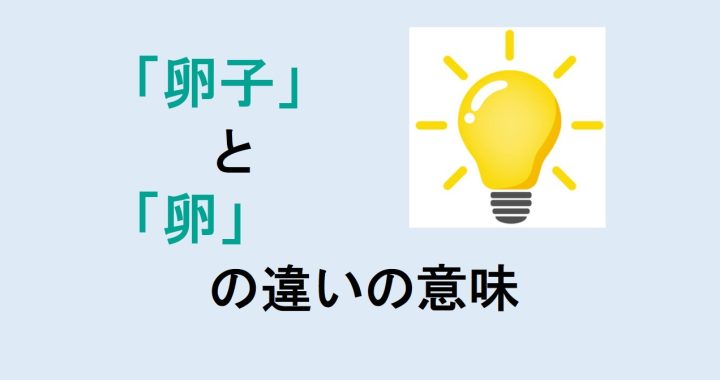 卵子と卵の違いの意味を分かりやすく解説！