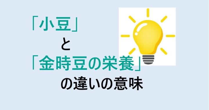 小豆と金時豆の栄養の違いの意味を分かりやすく解説！