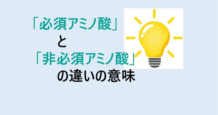 必須アミノ酸と非必須アミノ酸の違いの意味を分かりやすく解説！