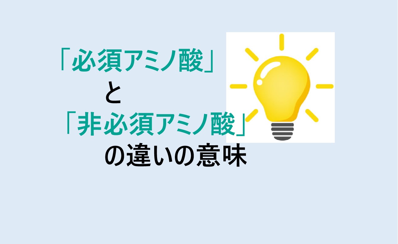 必須アミノ酸と非必須アミノ酸の違い