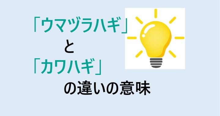 ウマヅラハギとカワハギの違いの意味を分かりやすく解説！