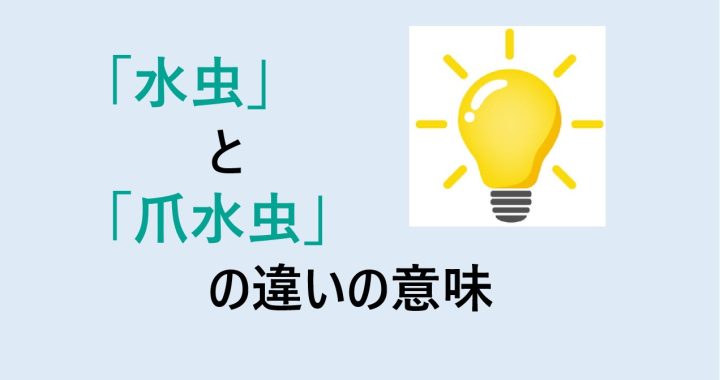 水虫と爪水虫の違いの意味を分かりやすく解説！