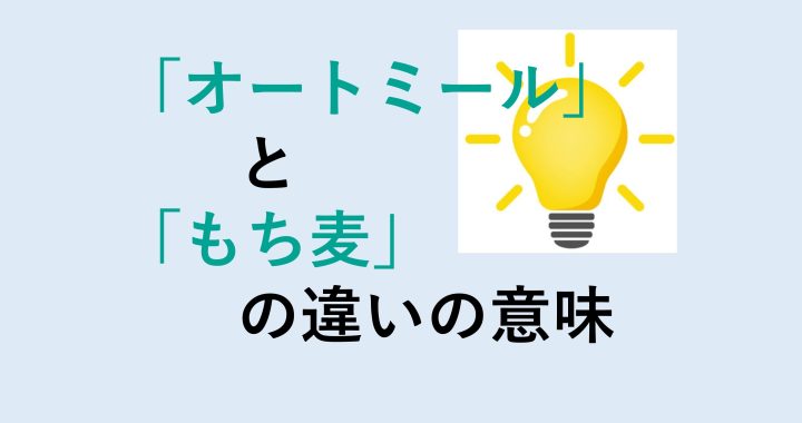 オートミールともち麦の違いの意味を分かりやすく解説！