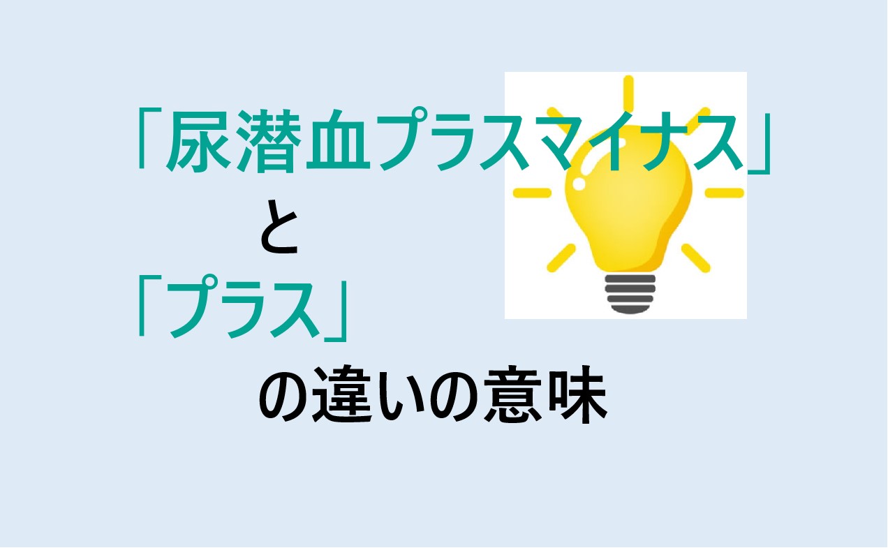 尿潜血プラスマイナスとプラスの違い