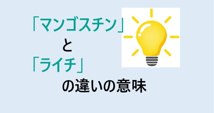 マンゴスチンとライチの違いの意味を分かりやすく解説！