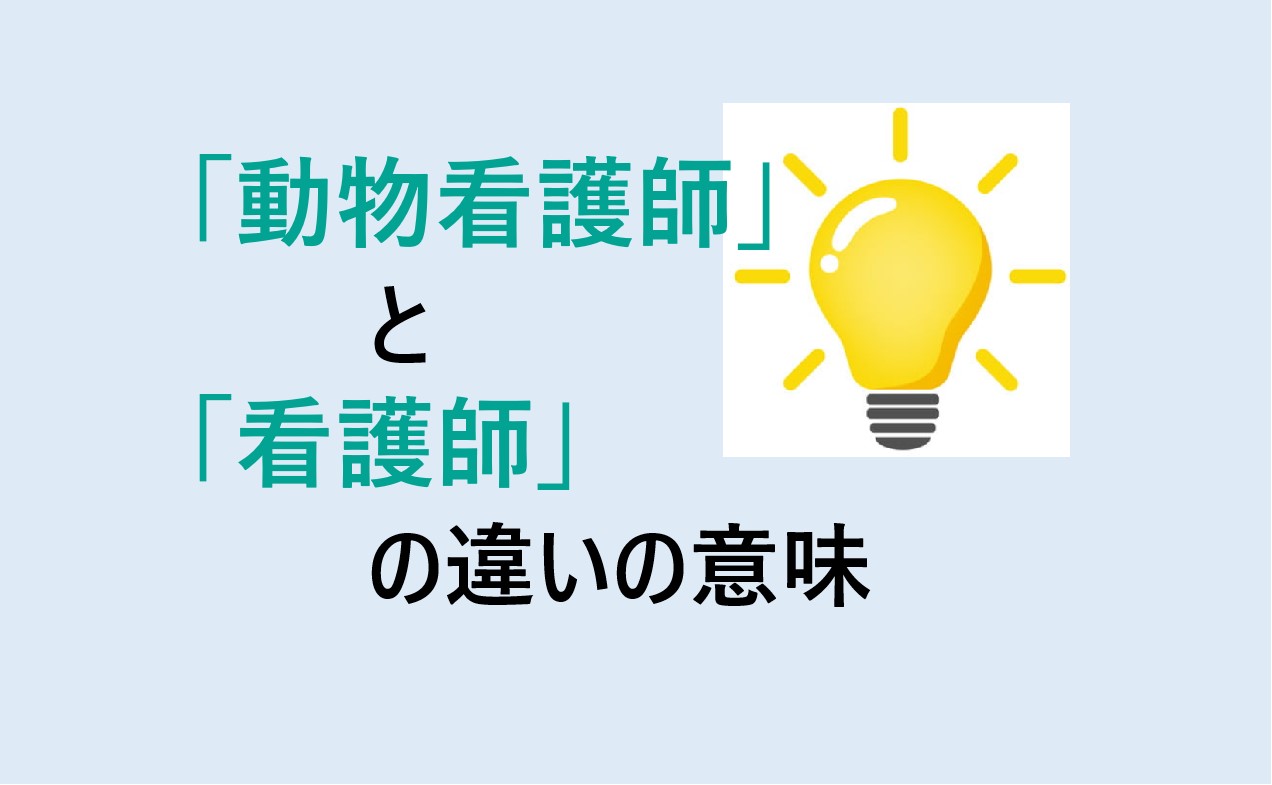 動物看護師と看護師の違い