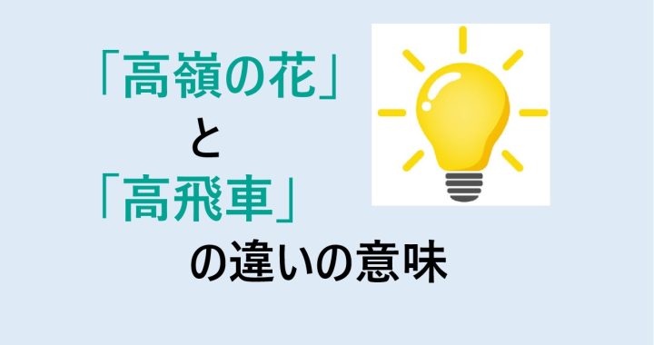 高嶺の花と高飛車の違いの意味を分かりやすく解説！