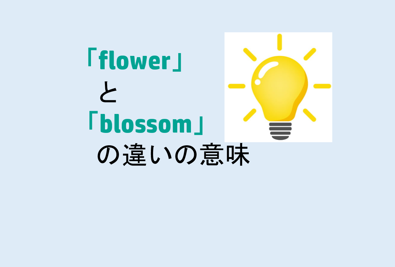 flowerとblossomの違い