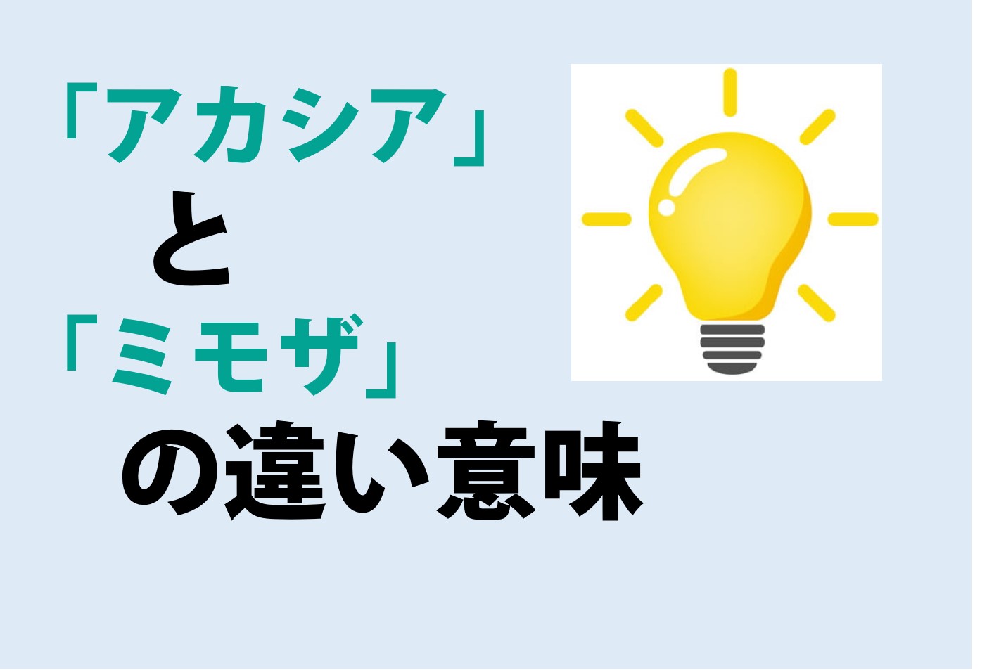 アカシアとミモザの違いの意味を分かりやすく解説！