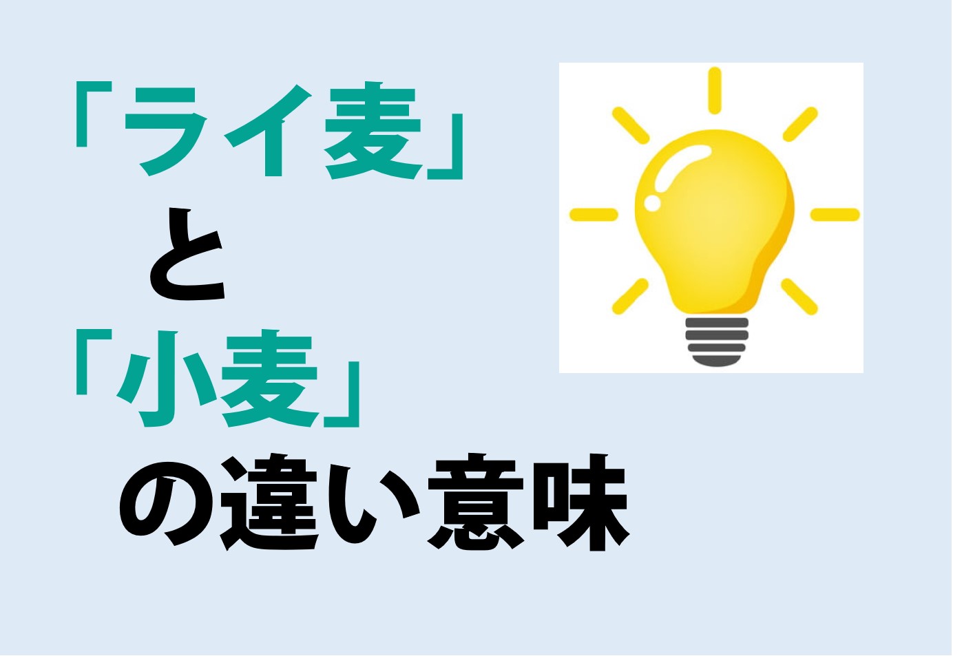 ライ麦と小麦の違いの意味を分かりやすく解説！