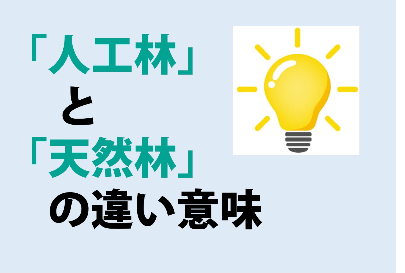 人工林と天然林の違いの意味を分かりやすく解説！