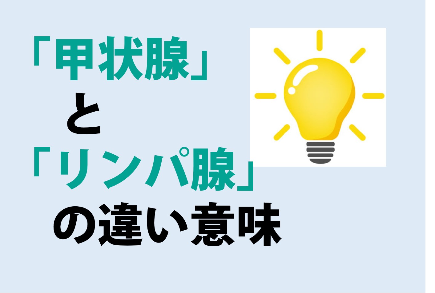 甲状腺とリンパ腺の違いの意味を分かりやすく解説！